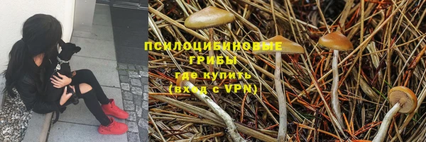 эйфоретик Алексин