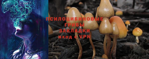 эйфоретик Алексин