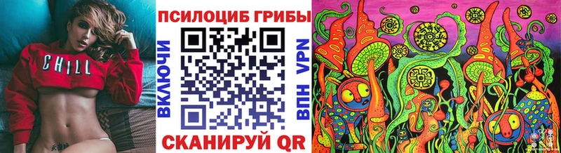 Псилоцибиновые грибы Psilocybe даркнет сайт Коркино